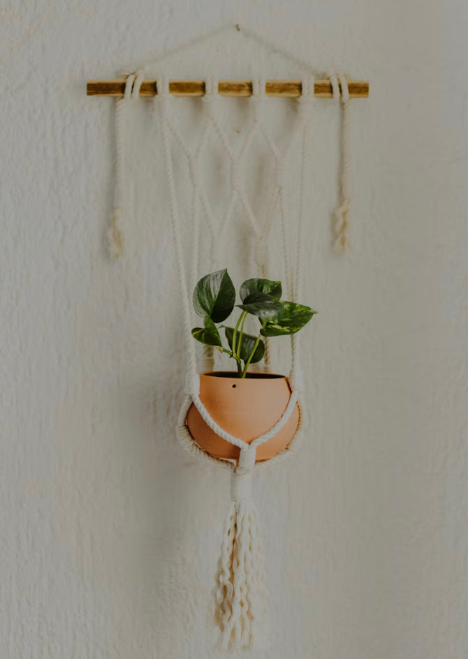 Planters & Pots